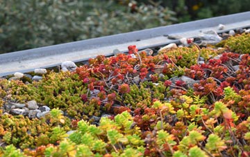 the cost of Longlands green roof installation